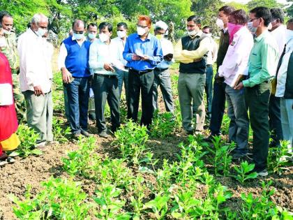 Select crops based on soil type | जमिनीचा प्रकार पाहून पिकांची निवड करा