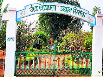 Poor condition of the biodiversity park in Sironcha | सिरोंचातील जैवविविधता उद्यानाची दुरवस्था Poor condition of the biodiversity park in Sironcha | सिरोंचातील जैवविविधता उद्यानाची दुरवस्था
