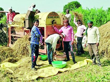 The common use of the machine for the production of paddy field | धान मळणीच्या कामात यंत्राचा सर्रास वापर