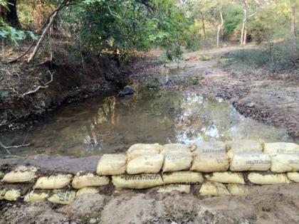 Dams for wildlife at Navegaonbandh-Nagzira Tiger Reserve | नवेगावबांध-नागझिरा व्याघ्र प्रकल्पात वन्यप्राण्यांसाठी बंधारे 