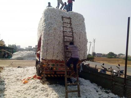 Cotton is available at Rs 4400 | कापसाला मिळतोय ४४०० रुपये भाव