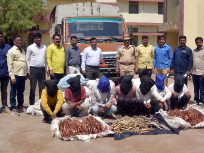 Seven Dodge Gajad from Ghatkopar area of ​​Mumbai | सात दरोडेखोर मुंबईच्या घाटकोपर भागातून गजाआड