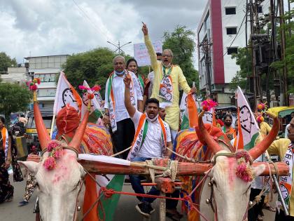 Malegaon NCP's bullock cart front | मालेगावी राष्ट्रवादीचा बैलगाडी मोर्चा