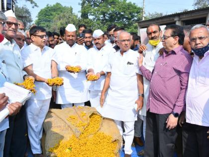 Launch of new turmeric deals at Sangli Market Committee | सांगलीत बाजार समितीत नव्या हळद सौद्यांचा शुभारंभ