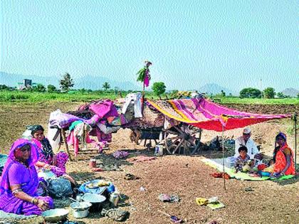 Shepherd's Feast | मेंढपाळांचा पाडवा सण वाड्यावरच