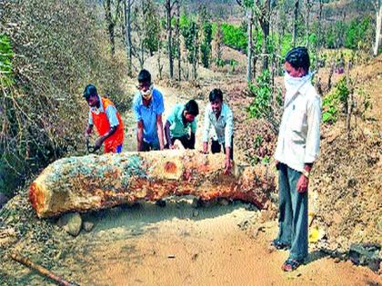 Blockade of places in the district | जिल्ह्यात ठिकठिकाणी नाकाबंदी