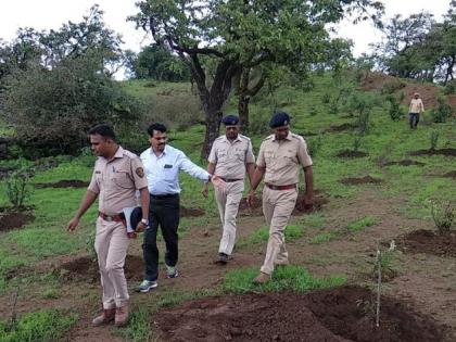 Forest committees to provide 'youth employment' through fruit trees | फळझाडांद्वारे वन समित्या देणार ‘युवकांना रोजगार’ Forest committees to provide 'youth employment' through fruit trees | फळझाडांद्वारे वन समित्या देणार ‘युवकांना रोजगार’