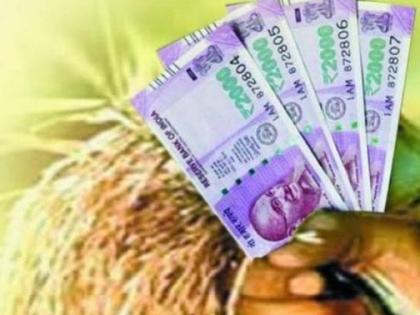 ... and Kanibai got a loan of one lakh 14 thousand in just three hours | ...आणि कनीबाईला मिळाले अवघ्या तीन तासात एक लाख १४ हजारांचे कर्ज ... and Kanibai got a loan of one lakh 14 thousand in just three hours | ...आणि कनीबाईला मिळाले अवघ्या तीन तासात एक लाख १४ हजारांचे कर्ज