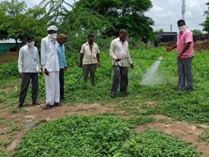 Spraying of herbicides and insecticides to control mosquitoes | डासांचा प्रादुर्भाव होवु नये म्हणुन तणनाशक,किटकनाशक फवारणी