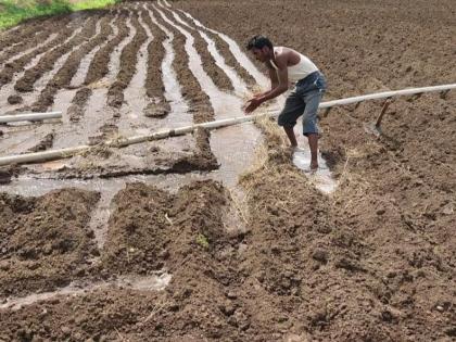 Break in paddy cultivation due to reversal of rains | पावसाने पाठ फिरवल्यामुळे भात लागवडीला ब्रेक