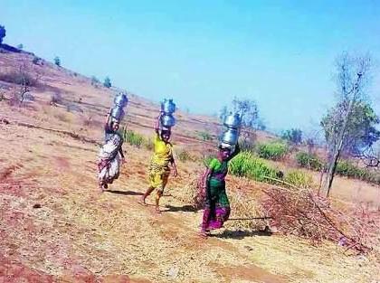 Villages in Trimbakeshwar taluka face water shortage | त्र्यंबकेश्वर तालुक्यातील गावांना पाणीटंचाईच्या झळा