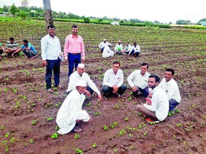 Agricultural workshop on soybean crop at Umberkhed | उंबरखेड येथे सोयाबीन पिकाबाबत शेती कार्यशाळा