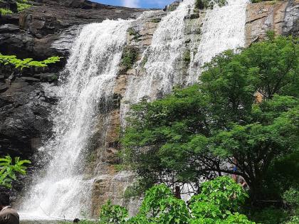 Nature blossomed in Chinchbanwadi area | चिंचबनवाडी परिसरात निसर्ग फुलला