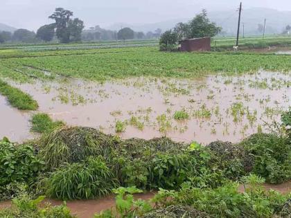  Damage due to underwater PK in Sinnar taluka | सिन्नर तालुक्यात पीके पाण्याखाली गेल्याने नुकसान