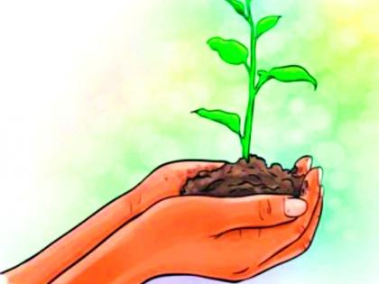 Planting of 29,01738 saplings in five years | पाच वर्षांत 29,01738 वृक्षरोपांची लागवड