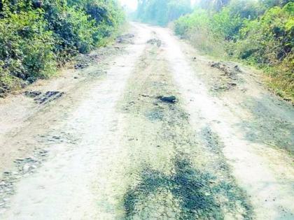 Heavy traffic from Seldoh to Somalgarh road pits | जड वाहतुकीने सेलडोह ते सोमलगडचा रस्ता खड्ड्यात Heavy traffic from Seldoh to Somalgarh road pits | जड वाहतुकीने सेलडोह ते सोमलगडचा रस्ता खड्ड्यात