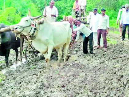 The road to Pimpalgaon-Ranavad is fatal | पिंपळगाव-रानवड रस्ता ठरतो जीवघेणा The road to Pimpalgaon-Ranavad is fatal | पिंपळगाव-रानवड रस्ता ठरतो जीवघेणा