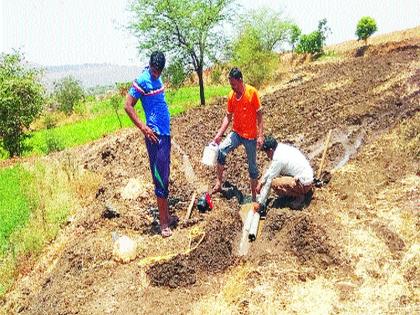  Cropping up in Eklavhar area | एकलहरे परिसरात पिके करपू लागली