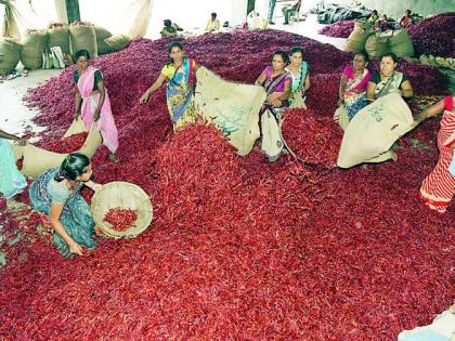 Vidarbha's chilli suffers heat of strike and band | विदर्भातील मिरचीला बसले संपाचे ‘चटके’