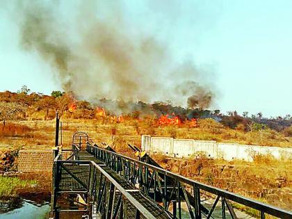 The Gorevada jungle in the forest area of ​​Nagpur caught by fire | नागपूरच्या वनपरिक्षेत्रातील गोरेवाडा जंगल पुन्हा पेटले