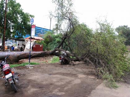 The tree fell on a two-wheeler in the labor square | कामगार चौकात झाड दुचाकीवर कोसळले