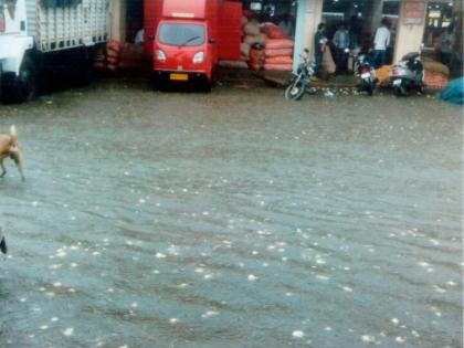 Rainy grain | पावसात भिजले धान्य