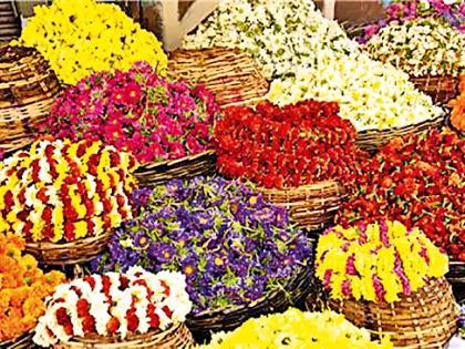 Rose and marigold Rs. 100 kg | गुलाब व झेंडू १०० रुपये किलो