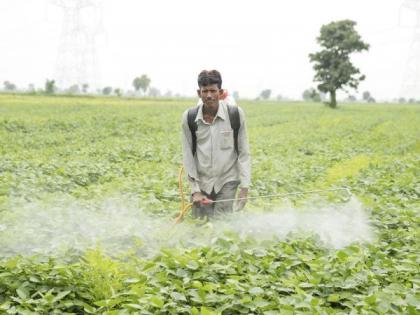 90 pesticide companies have the responsibility to stop poisoning | विषबाधा रोखण्याची जबाबदारी ९० कीटकनाशक कंपन्यांवर