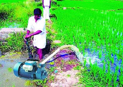 1183 crores of agricultural loans outstanding | कृषिपंपांची ११८३ कोटींची थकबाकी