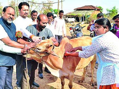 Particle of Animal Husbandry Rural Economy | पशुपालन ग्रामीण अर्थव्यवस्थेचा कणा