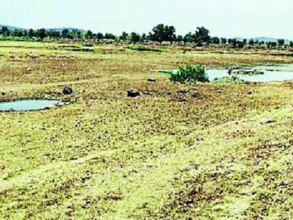 Lakes dry, water scarcity in villages | तलाव कोरडे, गावागावात पाण्याची टंचाई