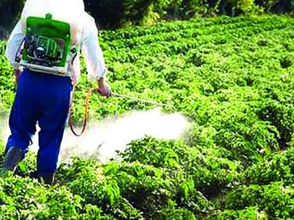 Agriculture department messes with spray of bogus weed! | बोगस तणनाशक फवारणीने कृषी विभागात गोंधळ!