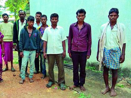 Eight people arrested for illegal tree plantation | अवैध वृक्षतोड आठ जणांना अटक