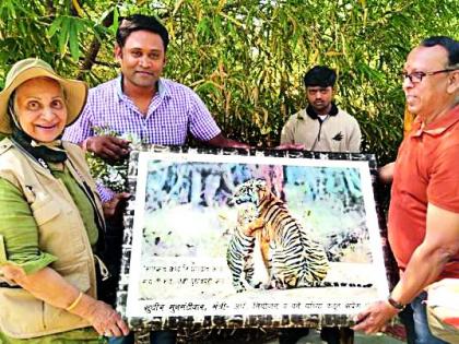 Tadoba's 'Maya' starrer actress gets enthralled | ताडोबातील ‘माया’ने घातली मायानगरीच्या अभिनेत्रीला भुरळ