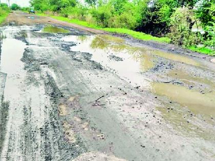 Road connectivity connecting Chandrapur and Yavatmal districts | चंद्रपूर व यवतमाळ जिल्ह्याला जोडणाऱ्या रस्त्याची दुरवस्था