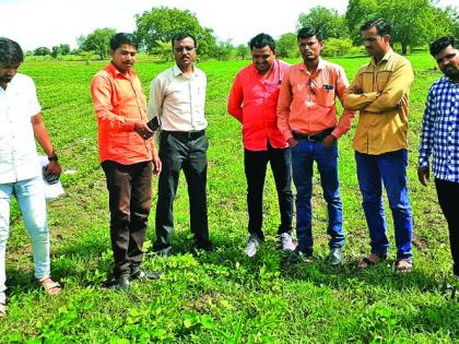 Executive Council members also saw a fault in Agricultural Technology School! | कार्यकारी परिषदेच्या सदस्यांनाही दिसला कृषी तंत्र विद्यालयातील गलथान कारभार!