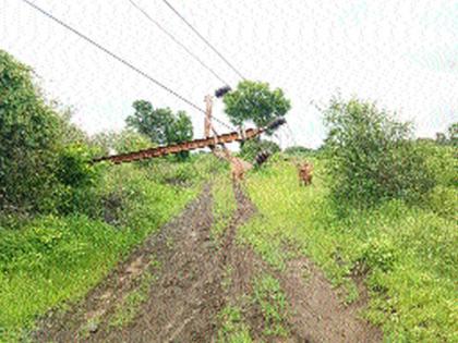 'Rastaroko' by electricity poles in Paldhi Shivara | पाळधी शिवारात विजेच्या खांबांनी केला ‘रास्तारोको’