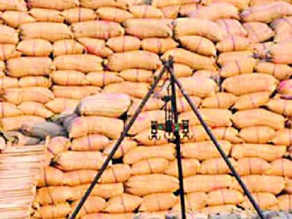 Who is responsible for irregularities in grain procurement | धान खरेदीतील अनियमिततेस जबाबदार कोण