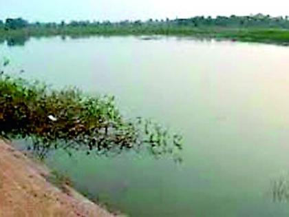 327 Mama lakes in the district were stolen | जिल्ह्यातील 327 मामा तलाव गेले चोरीला