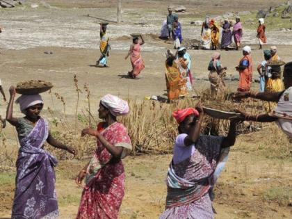 44% expenditure on Rohyo in 3 months | रोहयोवर ३ महिन्यात ४४ टक्के खर्च 44% expenditure on Rohyo in 3 months | रोहयोवर ३ महिन्यात ४४ टक्के खर्च