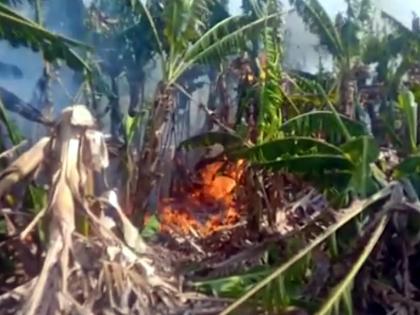 Parbhani: A few bananas of agriculture were burnt in the fire | परभणी : शेतीतील एकरभर केळी आगीत जळाली