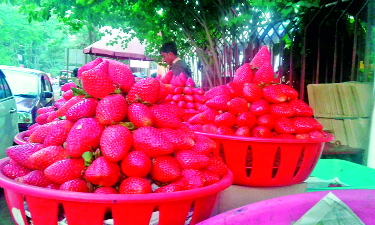 The first deaf strawberry market! | पहिल्या बहराची स्ट्रॉबेरी बाजारात!