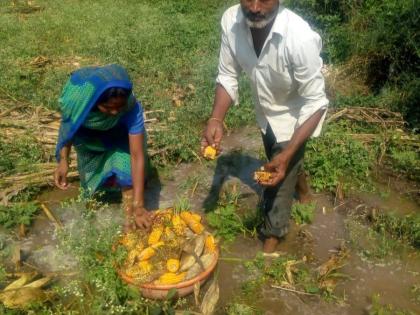 Damage to crops due to heavy rains in the eastern part of Deola taluka | देवळा तालुक्याच्या पुर्व भागात अतीपावसाने शेतीपिकांचे नुकसान