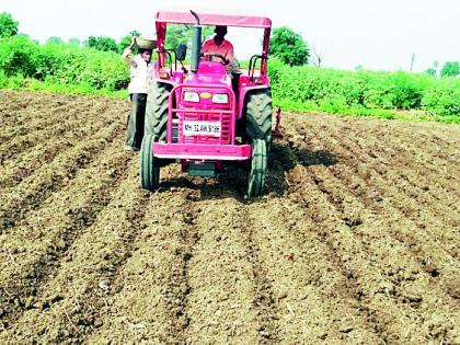 Sowing of Rabi in the district is 38.55 percent | जिल्ह्यात रबीची पेरणी ३८.५५ टक्के