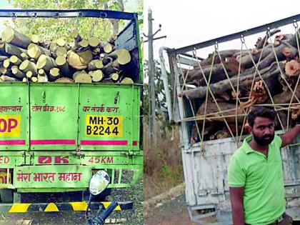 Two vehicles carrying illegal logistics of wood caught | लाकडाची अवैध वाहतूक करणारी दोन वाहने पकडली