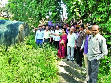 More than 50 dengue-like patients in Tulja Bhavani Chowk | तुळजा भवानी चौकात पन्नासहून अधिक डेंग्यूसदृश रुग्ण