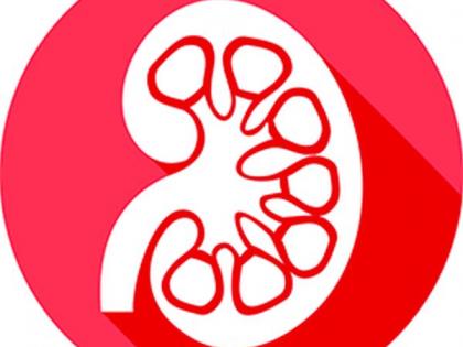 Kidney transplant in Nagpur threatens the lives of patients | नागपुरातील किडनी प्रत्यारोपण रुग्णांचा जीव धोक्यात