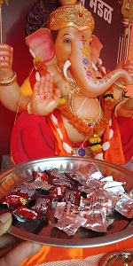 Ganpati Festival - Offerings of Vitamin Pills at Ganeshotsav | Ganpati Festival -गणेशोत्सवात व्हिटॅमिनच्या गोळ्यांचा प्रसाद