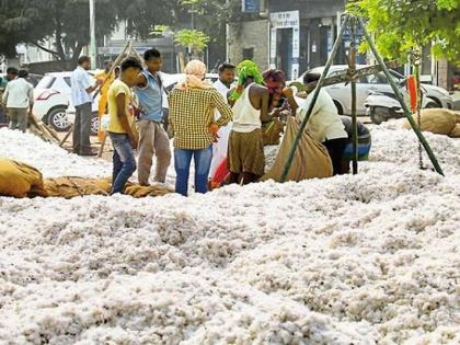 Open robbery of farmers at CCI's cotton procurement centers | ‘सीसीआय’च्या कापूस खरेदी केंद्रांवर शेतकऱ्यांची खुलेआम लूट