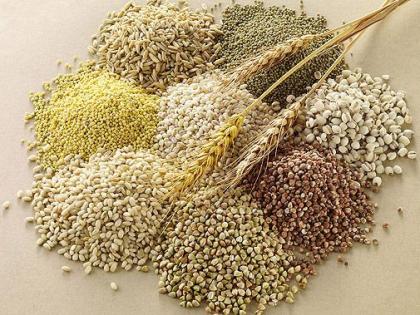 Wheat, sorghum, rice also expensive; Get it now, it will increase | गहू, ज्वारी, तांदूळही महाग; आत्ताच घ्या, आणखी वाढणार